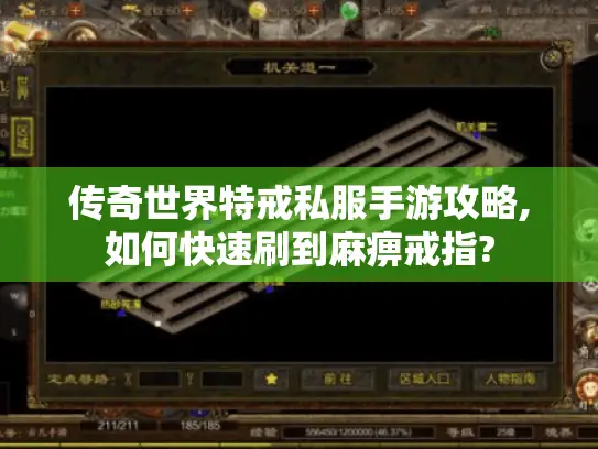 传奇世界特戒私服手游攻略,如何快速刷到麻痹戒指?