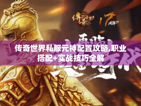 传奇世界私服元神配置攻略,职业搭配+实战技巧全解