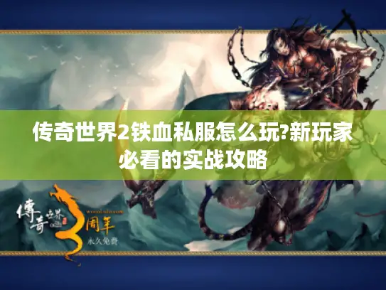 传奇世界2铁血私服怎么玩?新玩家必看的实战攻略