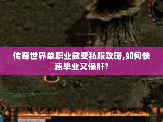 传奇世界单职业微变私服攻略,如何快速毕业又保肝?