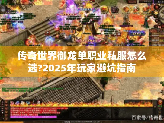 传奇世界御龙单职业私服怎么选?2025年玩家避坑指南