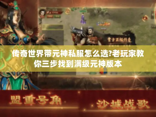 传奇世界带元神私服怎么选?老玩家教你三步找到满级元神版本