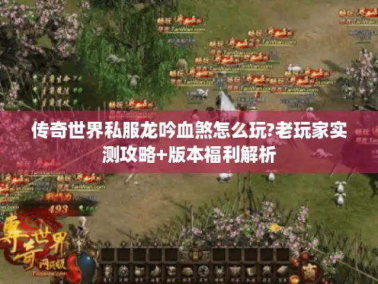 传奇世界私服龙吟血煞怎么玩?老玩家实测攻略+版本福利解析