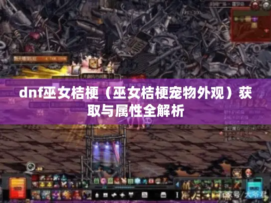 dnf巫女桔梗（巫女桔梗宠物外观）获取与属性全解析