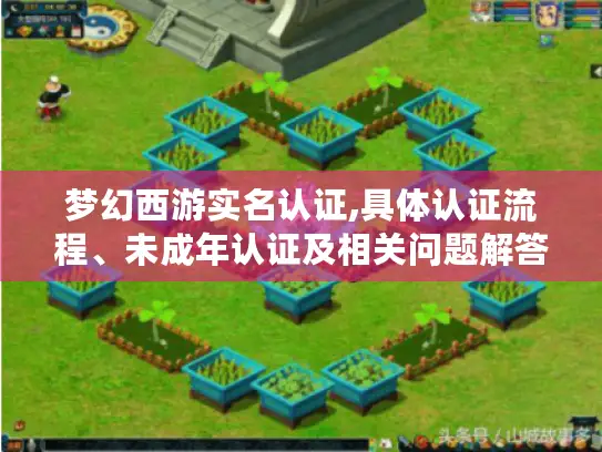 梦幻西游实名认证,具体认证流程、未成年认证及相关问题解答