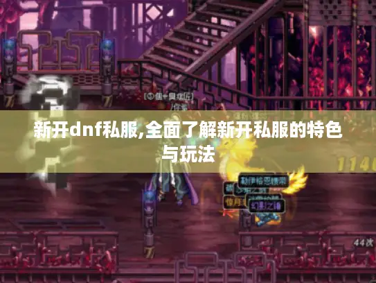 新开dnf私服,全面了解新开私服的特色与玩法