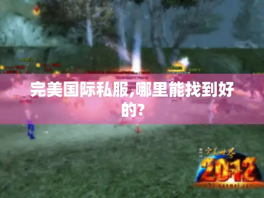 完美国际私服,哪里能找到好的?