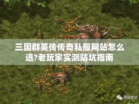 三国群英传传奇私服网站怎么选?老玩家实测防坑指南