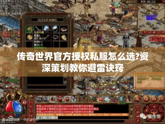 传奇世界官方授权私服怎么选?资深策划教你避雷诀窍