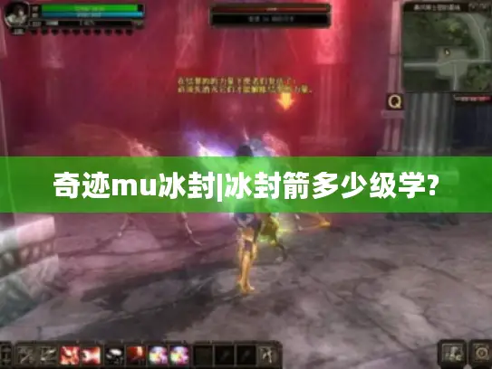 奇迹mu冰封|冰封箭多少级学?