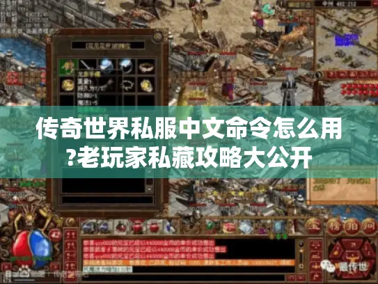传奇世界私服中文命令怎么用?老玩家私藏攻略大公开