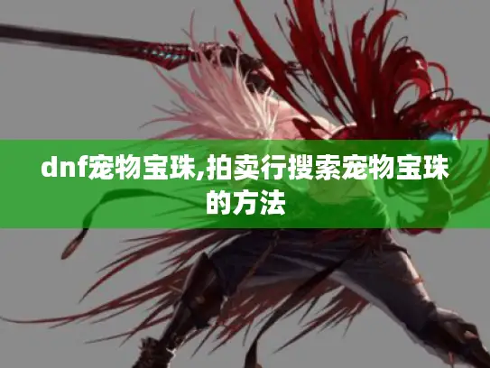 dnf宠物宝珠,拍卖行搜索宠物宝珠的方法