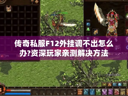 传奇私服F12外挂调不出怎么办?资深玩家亲测解决方法