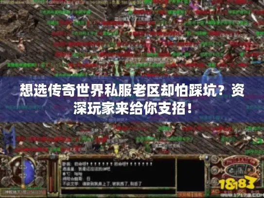 想选传奇世界私服老区却怕踩坑？资深玩家来给你支招！