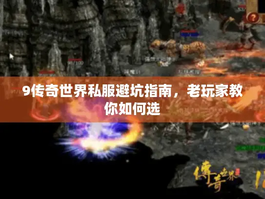 9传奇世界私服避坑指南,老玩家教你如何选 9传奇世界私服避坑指南,老玩家教你如何选