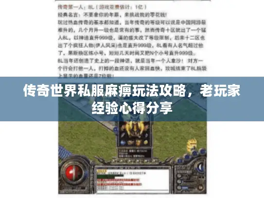 传奇世界私服麻痹玩法攻略，老玩家经验心得分享