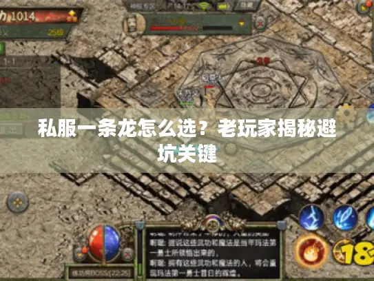 私服一条龙怎么选?老玩家揭秘避坑关键 私服一条龙怎么选?老玩家揭秘避坑关键