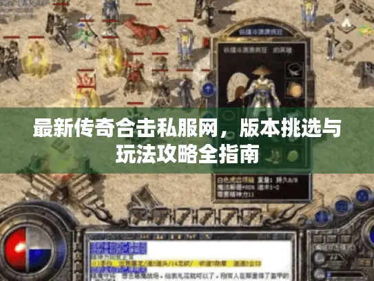 最新传奇合击私服网，版本挑选与玩法攻略全指南