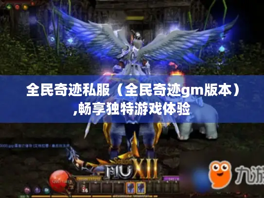 全民奇迹私服（全民奇迹gm版本）,畅享独特游戏体验