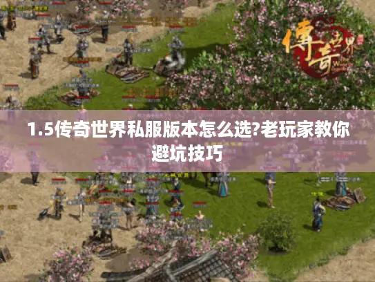 1.5传奇世界私服版本怎么选?老玩家教你避坑技巧