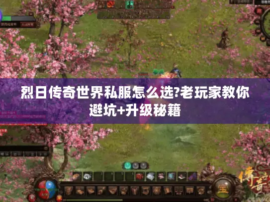 烈日传奇世界私服怎么选?老玩家教你避坑+升级秘籍