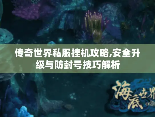 传奇世界私服挂机攻略,安全升级与防封号技巧解析