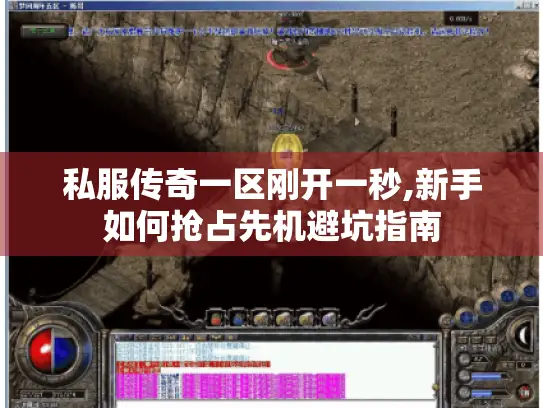 私服传奇一区刚开一秒,新手如何抢占先机避坑指南