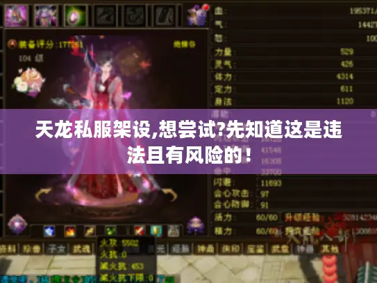 天龙私服架设,想尝试?先知道这是违法且有风险的！