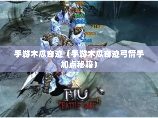 手游木瓜奇迹（手游木瓜奇迹弓箭手加点秘籍）