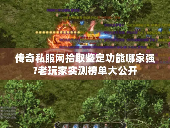 传奇私服网拾取鉴定功能哪家强?老玩家实测榜单大公开 传奇私服网拾取鉴定功能哪家强?老玩家实测榜单大公开