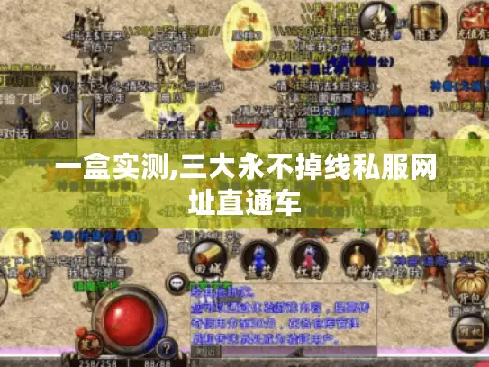 一盒实测,三大永不掉线私服网址直通车