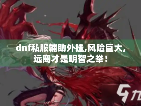 dnf私服辅助外挂,风险巨大,远离才是明智之举！