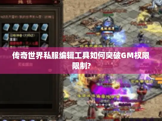 传奇世界私服编辑工具如何突破GM权限限制?