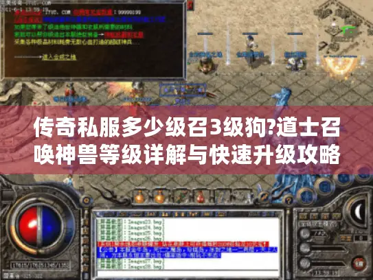 传奇私服多少级召3级狗?道士召唤神兽等级详解与快速升级攻略