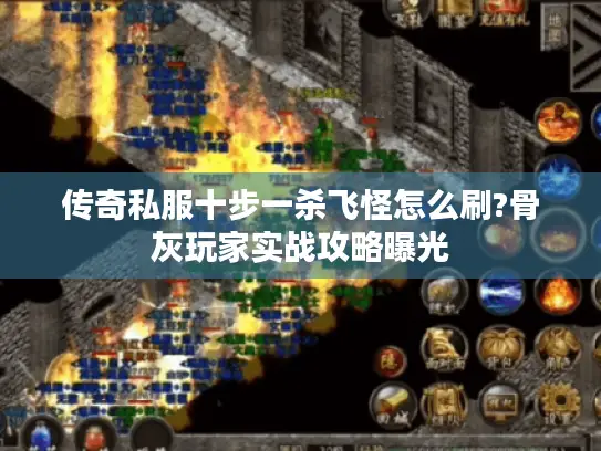 传奇私服十步一杀飞怪怎么刷?骨灰玩家实战攻略曝光