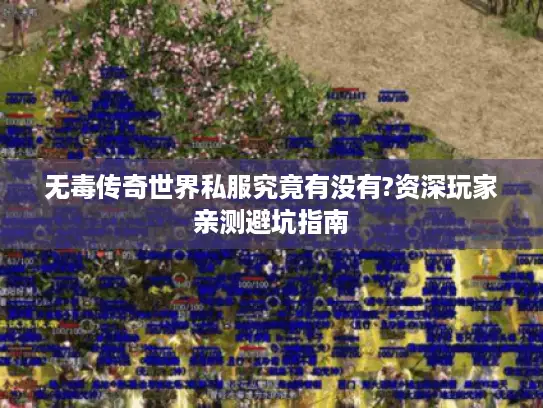 无毒传奇世界私服究竟有没有?资深玩家亲测避坑指南