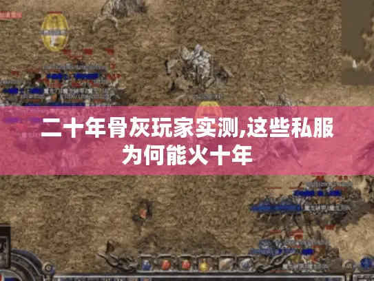 二十年骨灰玩家实测,这些私服为何能火十年 二十年骨灰玩家实测,这些私服为何能火十年