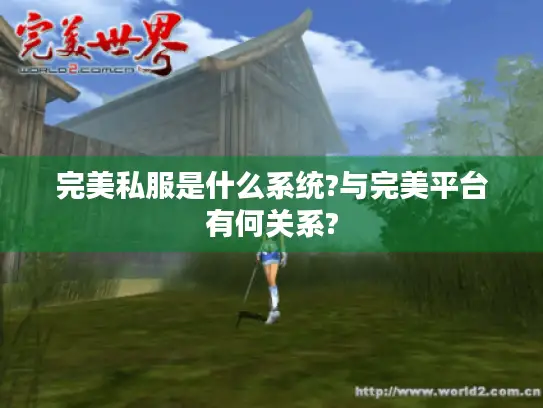 完美私服是什么系统?与完美平台有何关系?