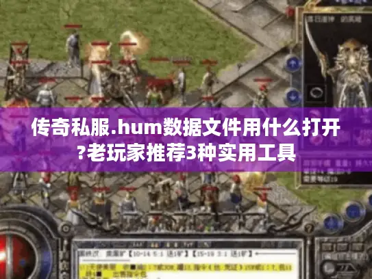 传奇私服.hum数据文件用什么打开?老玩家推荐3种实用工具