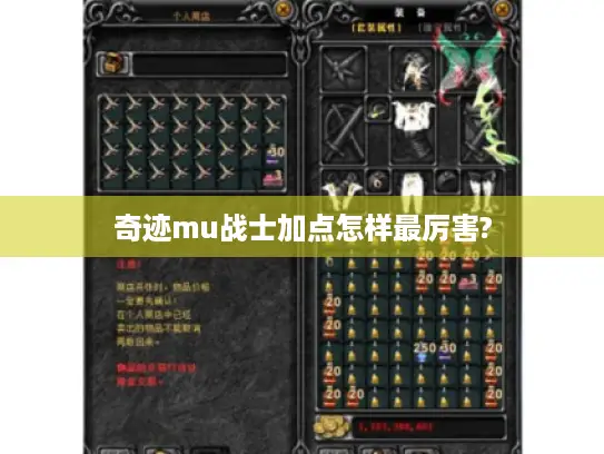 奇迹mu战士加点怎样最厉害?