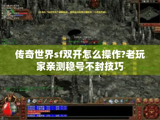传奇世界sf双开怎么操作?老玩家亲测稳号不封技巧 传奇世界sf双开怎么操作?老玩家亲测稳号不封技巧