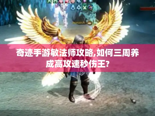 奇迹手游敏法师攻略,如何三周养成高攻速秒伤王?