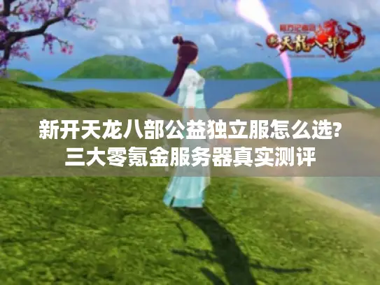 新开天龙八部公益独立服怎么选?三大零氪金服务器真实测评