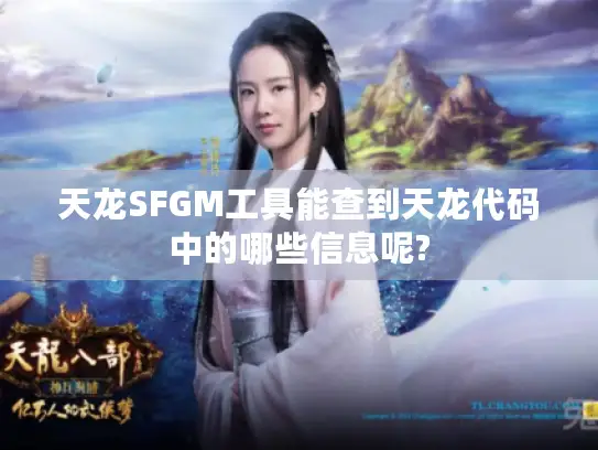 天龙SFGM工具能查到天龙代码中的哪些信息呢?