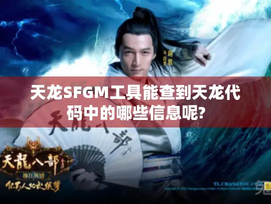 天龙SFGM工具能查到天龙代码中的哪些信息呢?
