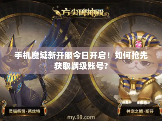 手机魔域新开服今日开启！如何抢先获取满级账号?