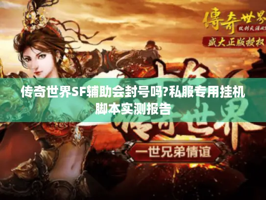 传奇世界SF辅助会封号吗?私服专用挂机脚本实测报告