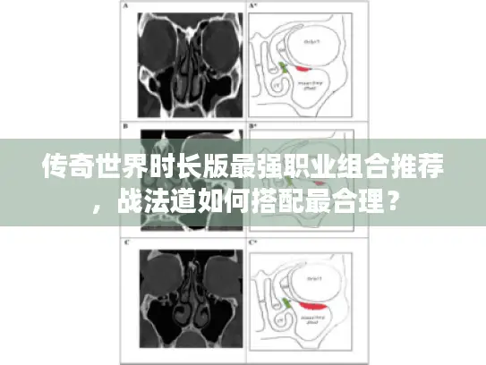 传奇世界时长版最强职业组合推荐，战法道如何搭配最合理？