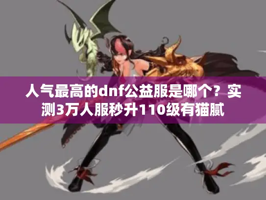 人气最高的dnf公益服是哪个?实测3万人服秒升110级有猫腻 人气最高的dnf公益服是哪个?实测3万人服秒升110级有猫腻