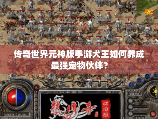 传奇世界元神版手游犬王如何养成最强宠物伙伴？